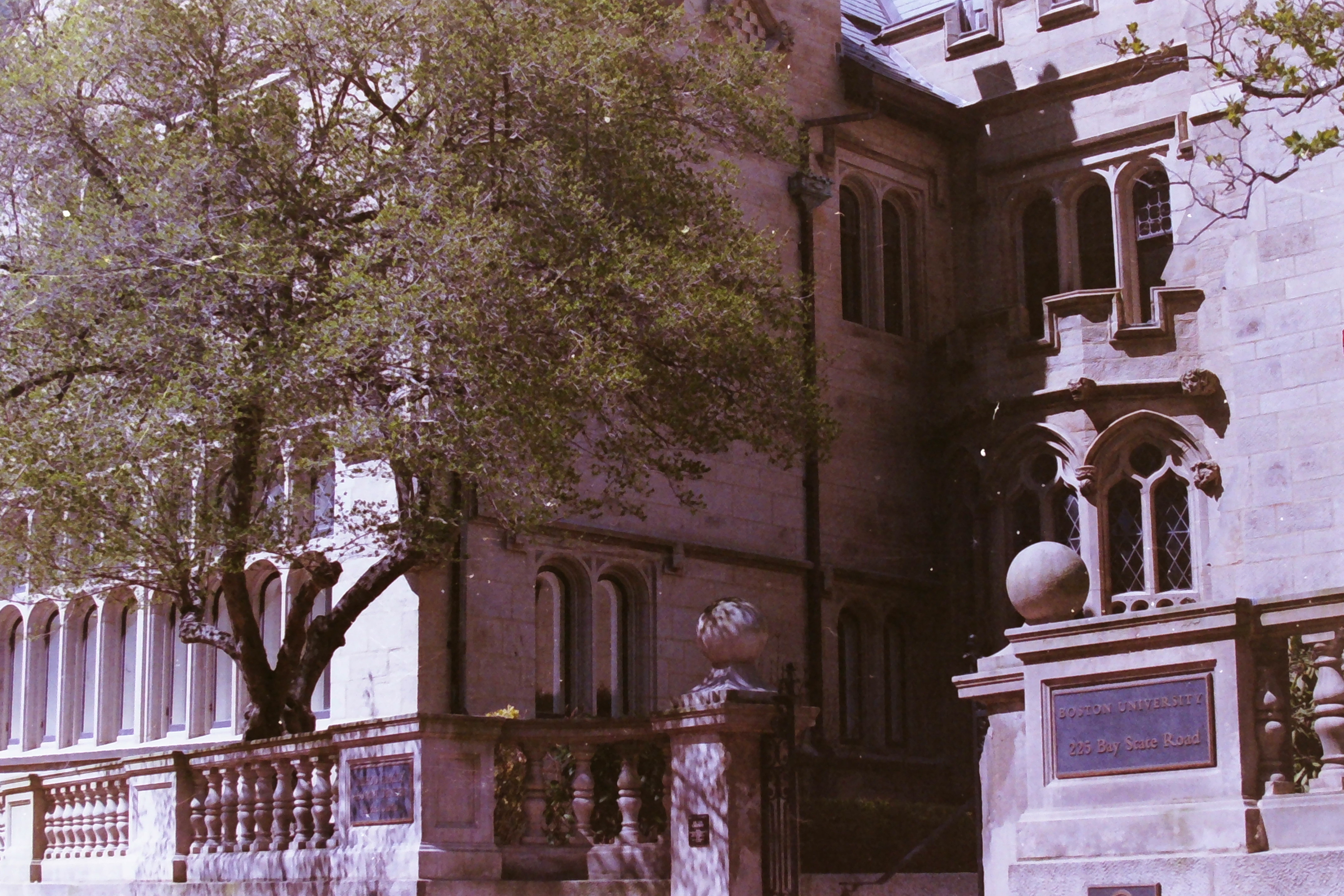 Additional image for FILM PHOTOGRAPHY