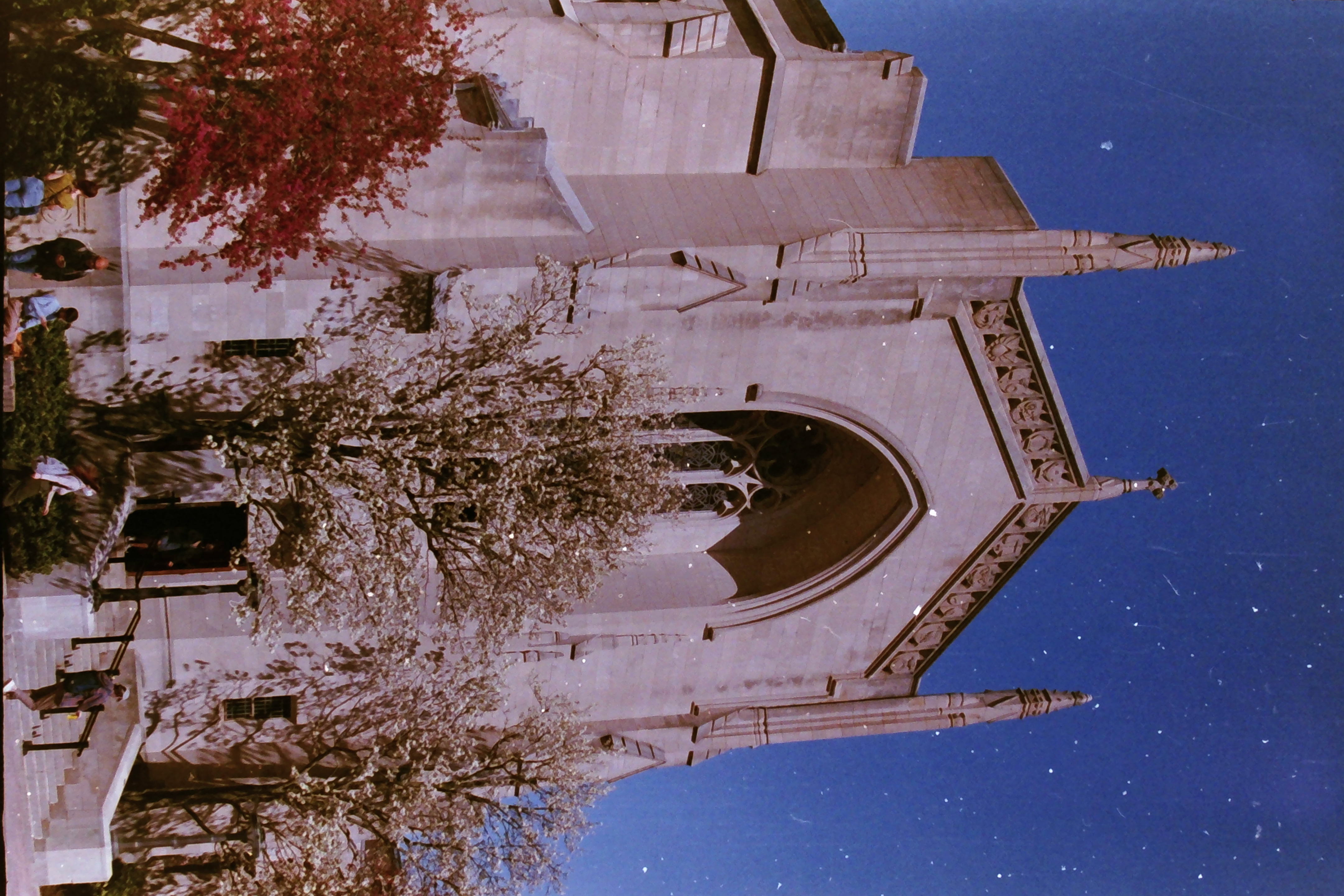 Additional image for FILM PHOTOGRAPHY