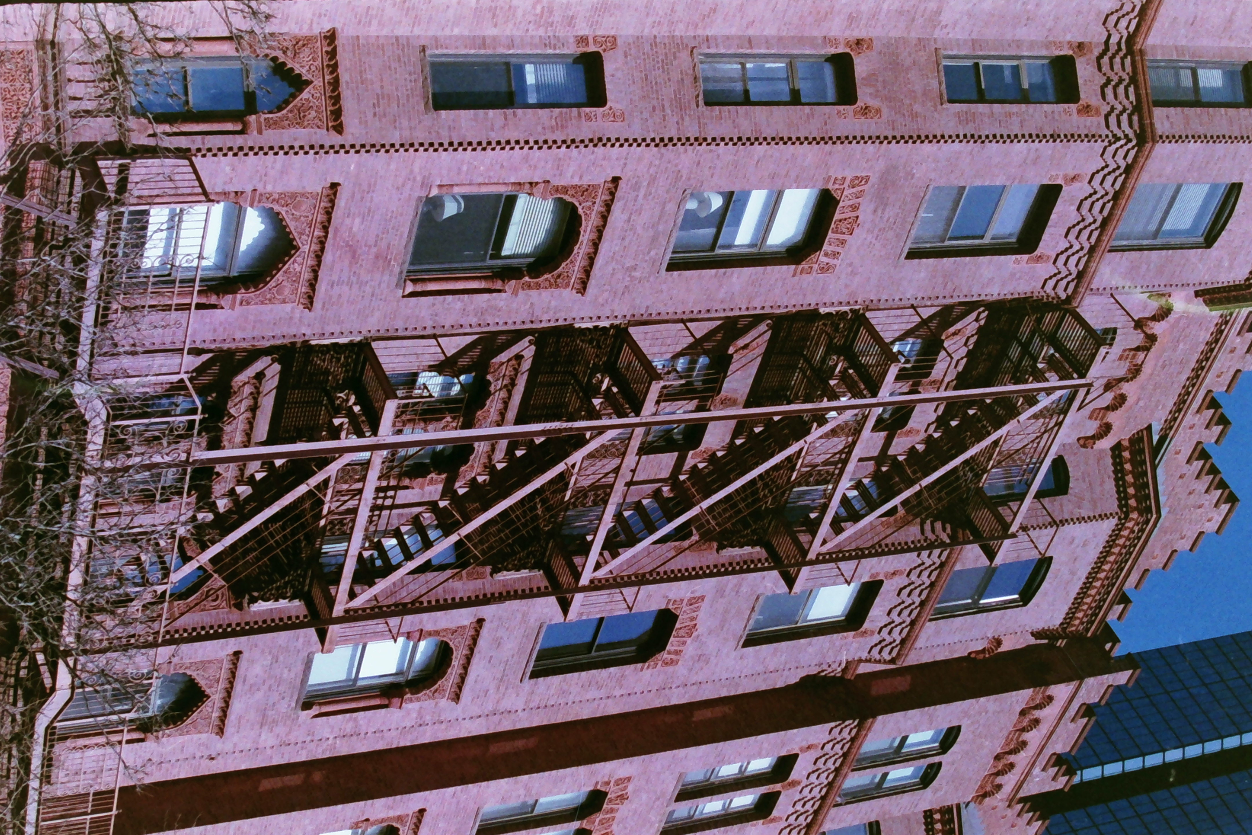 Additional image for FILM PHOTOGRAPHY