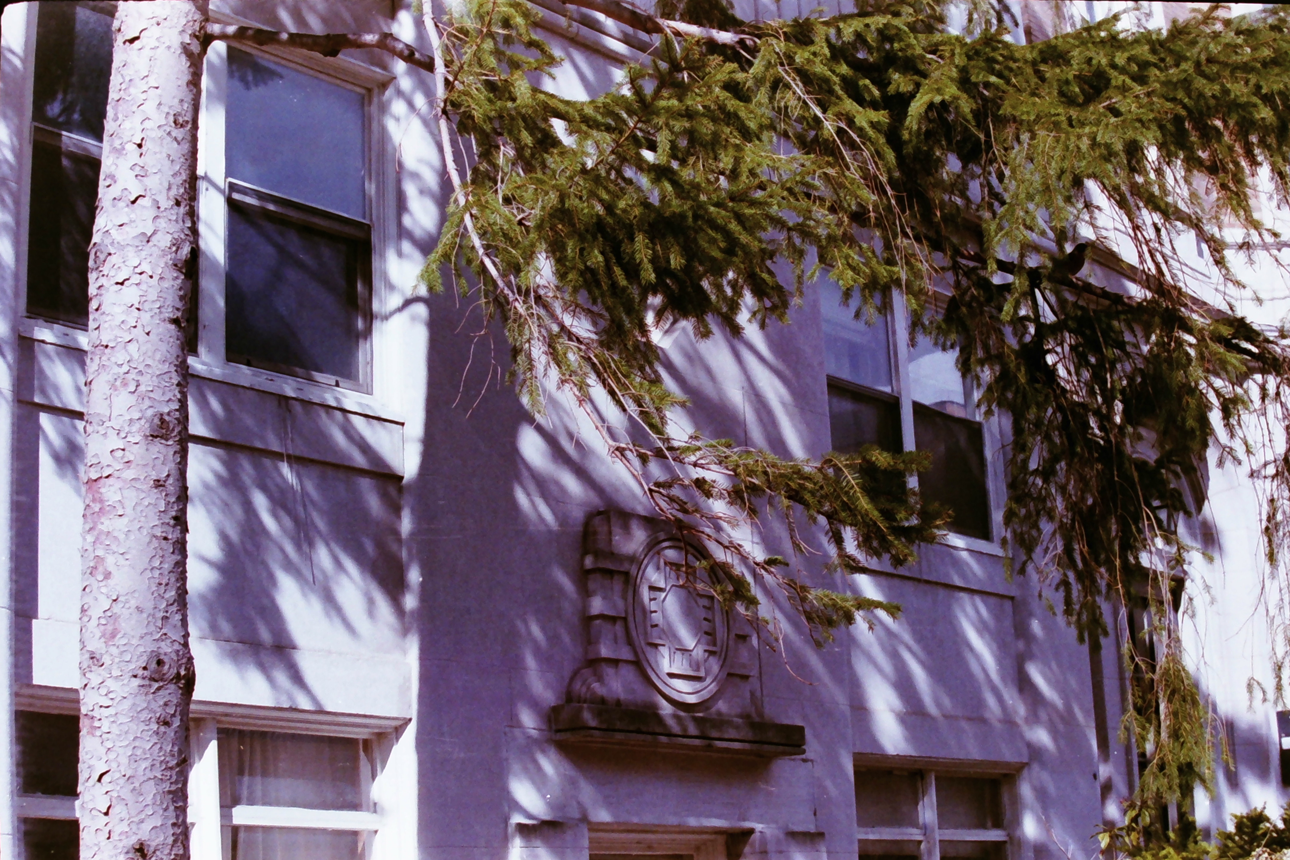 Additional image for FILM PHOTOGRAPHY