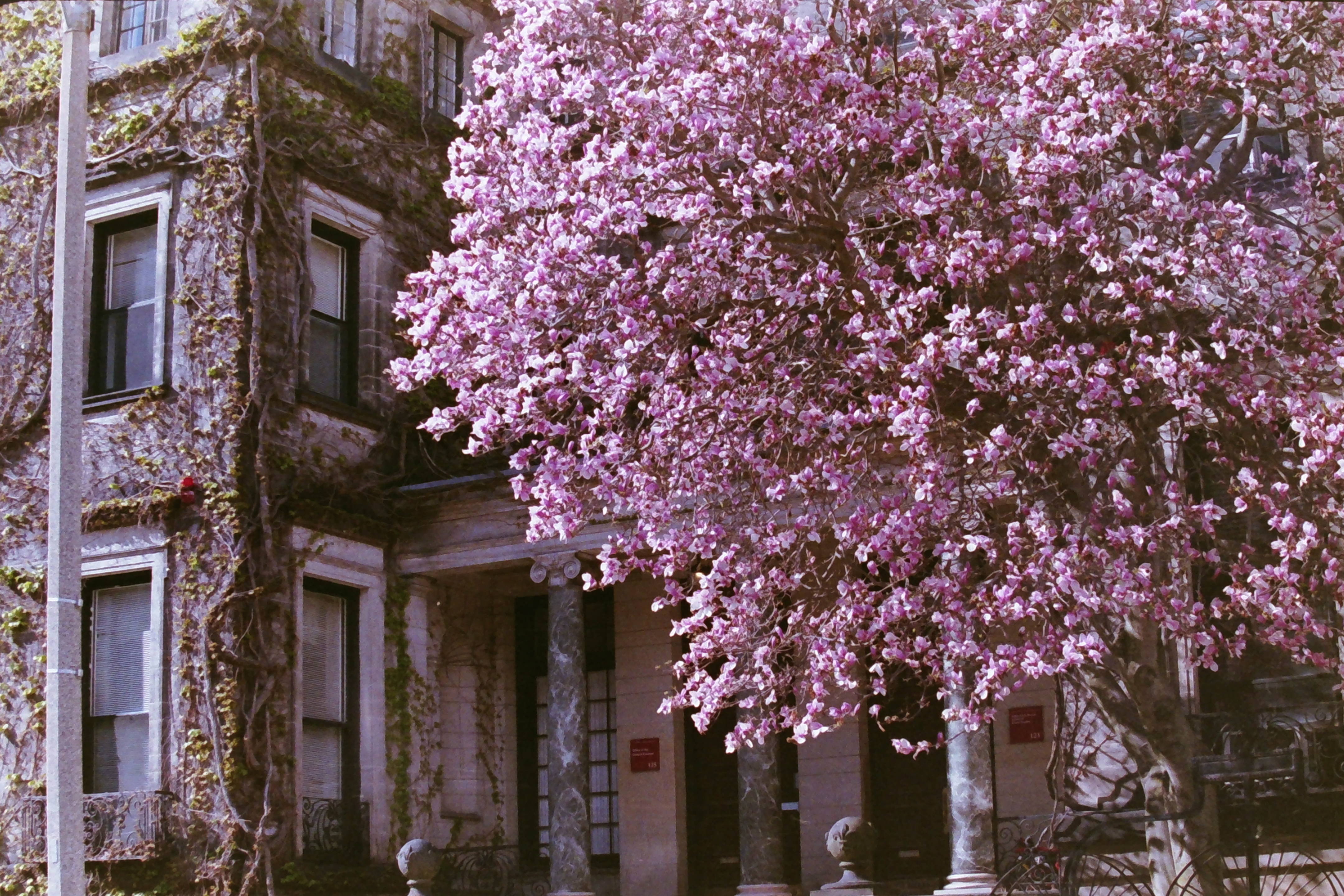 Additional image for FILM PHOTOGRAPHY