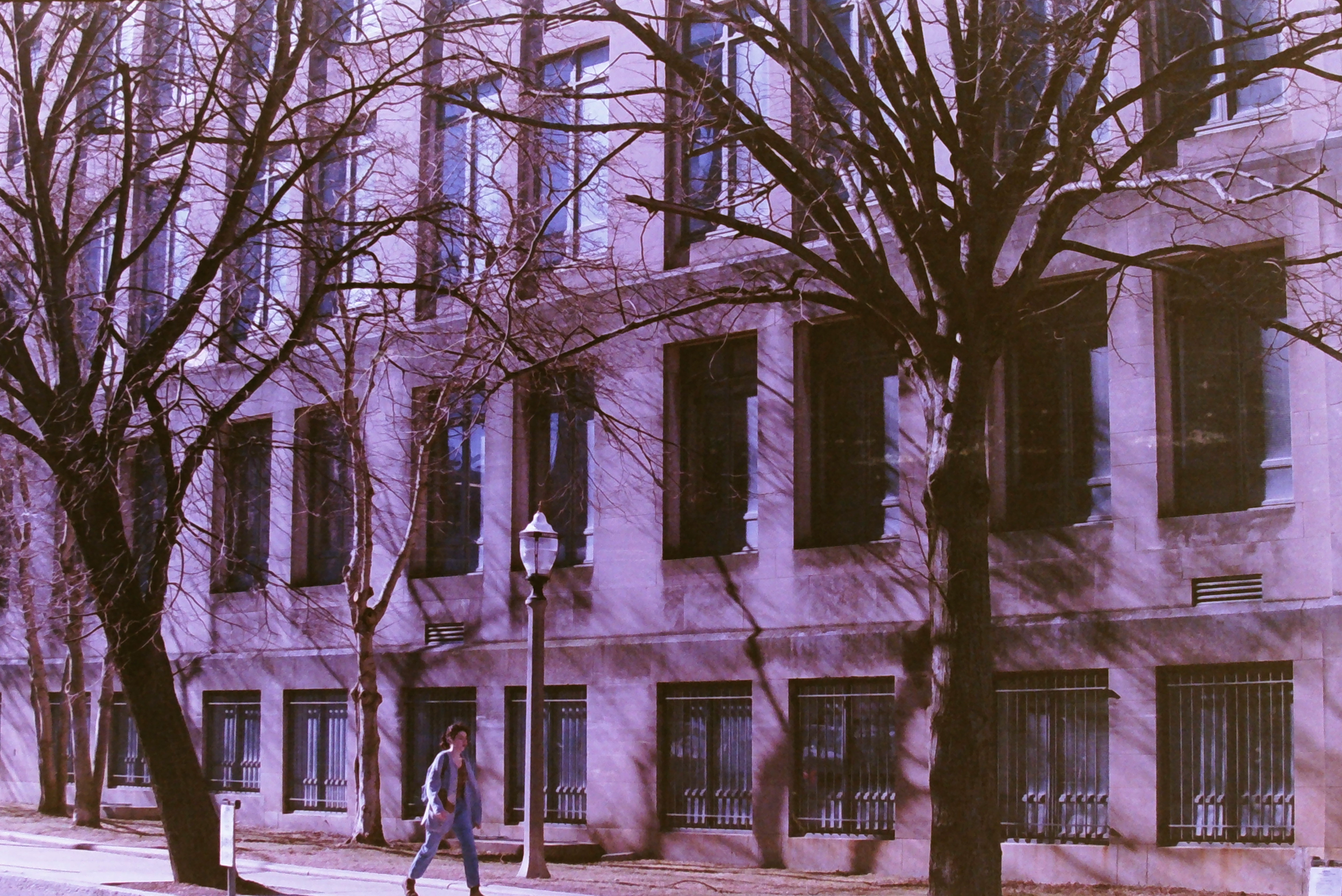 Additional image for FILM PHOTOGRAPHY