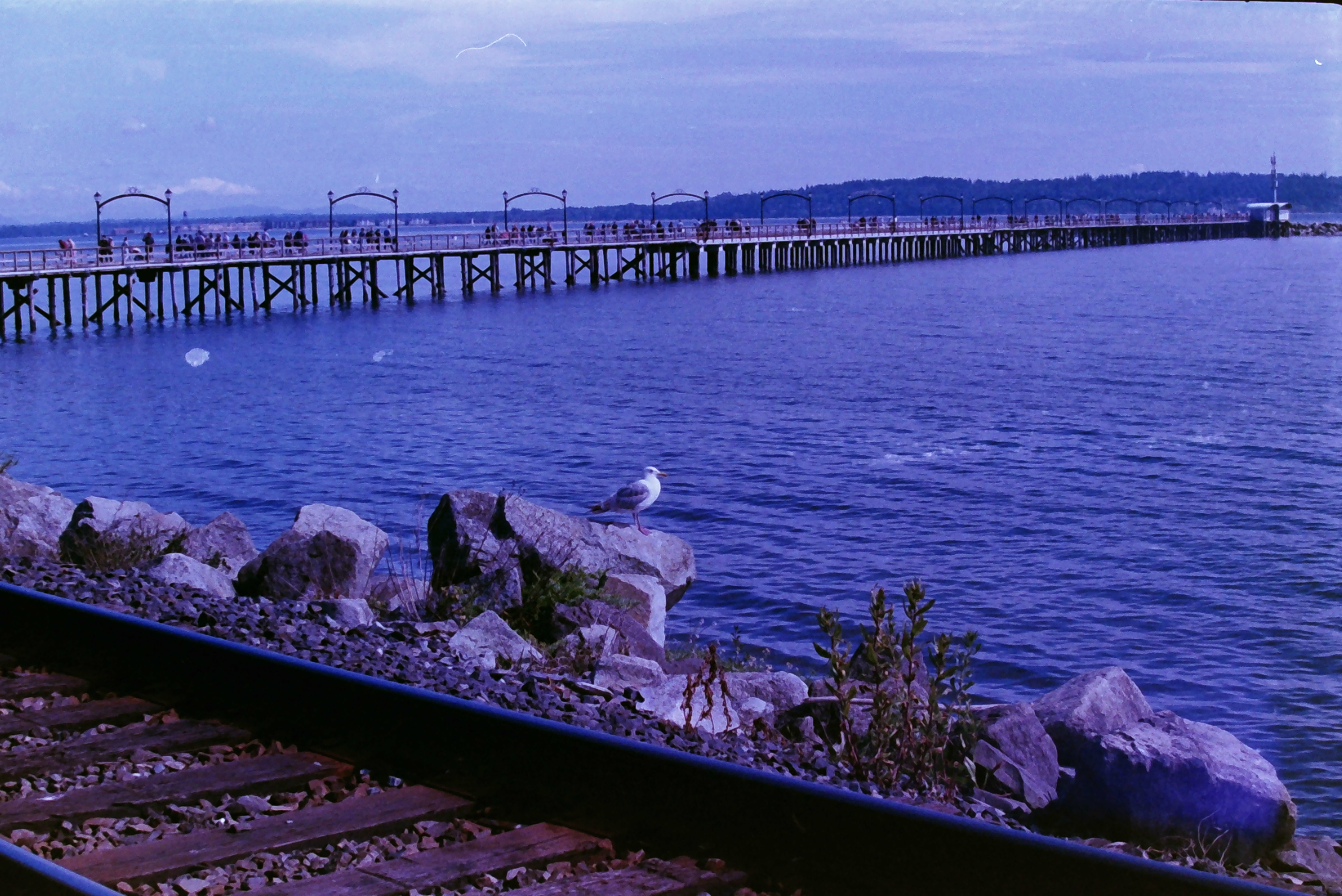 Additional image for FILM PHOTOGRAPHY