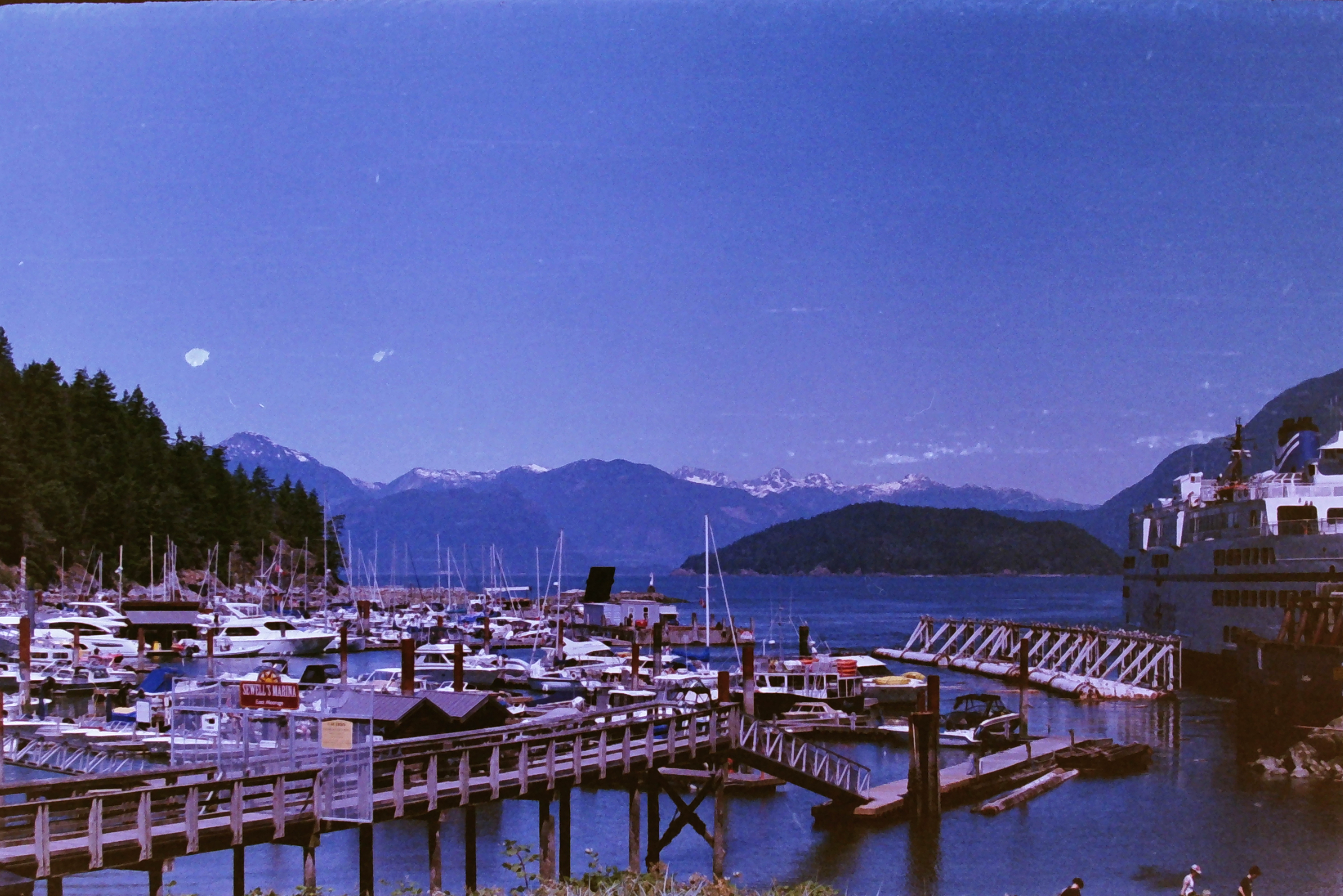 Additional image for FILM PHOTOGRAPHY